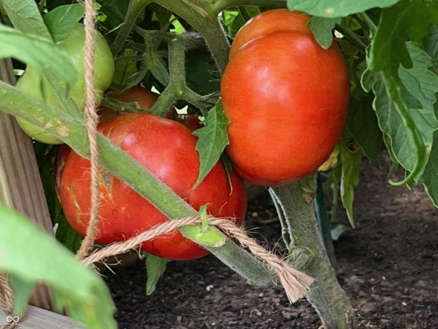 262 Abby Lane, Batesville, IN 47006