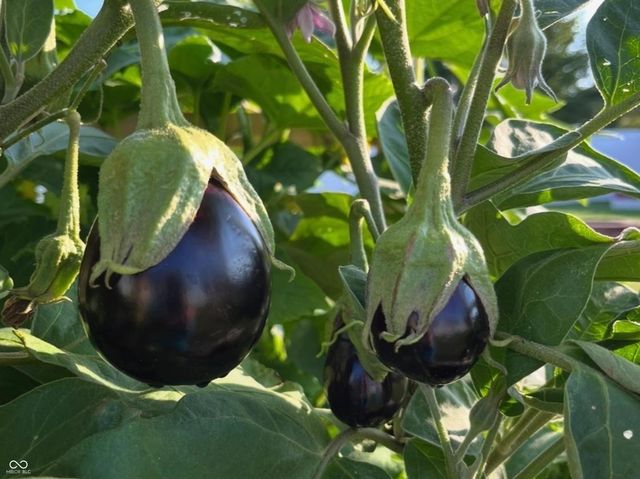 262 Abby Lane, Batesville, IN 47006