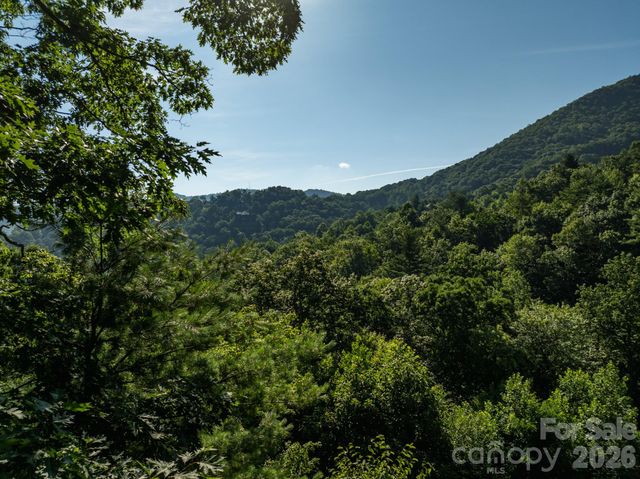 59 Old Greybeard Loop, Black Mountain, NC 28711