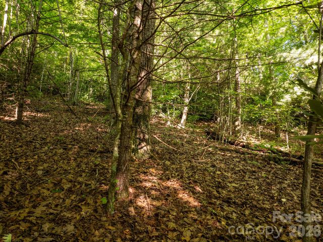 59 Old Greybeard Loop, Black Mountain, NC 28711