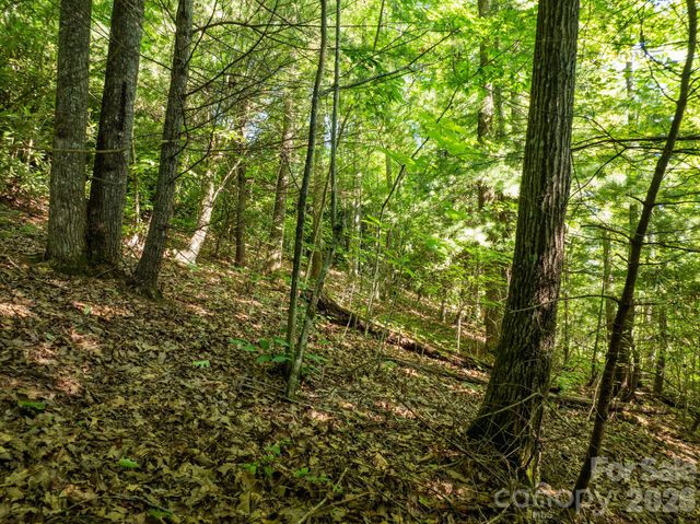 59 Old Greybeard Loop, Black Mountain, NC 28711