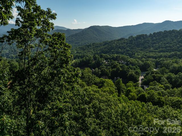 59 Old Greybeard Loop, Black Mountain, NC 28711