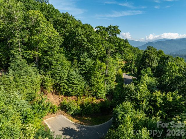 59 Old Greybeard Loop, Black Mountain, NC 28711