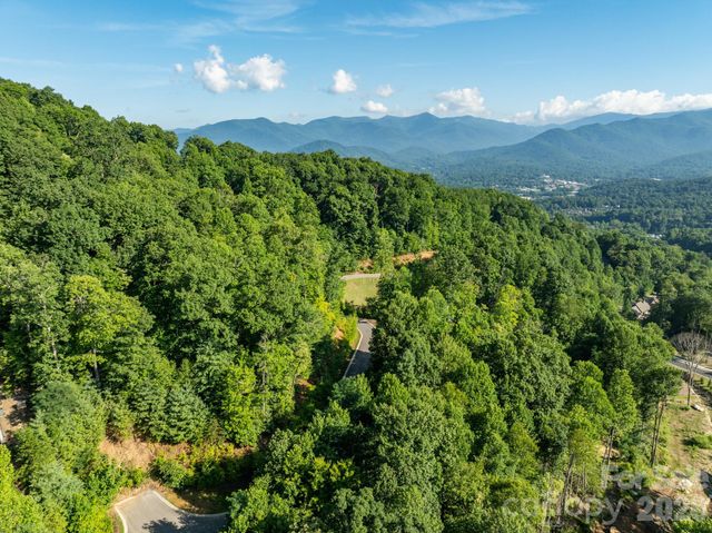 59 Old Greybeard Loop, Black Mountain, NC 28711