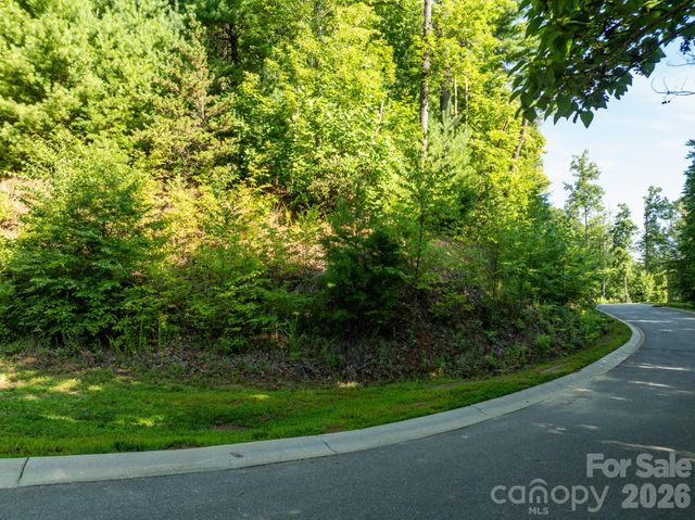 59 Old Greybeard Loop, Black Mountain, NC 28711