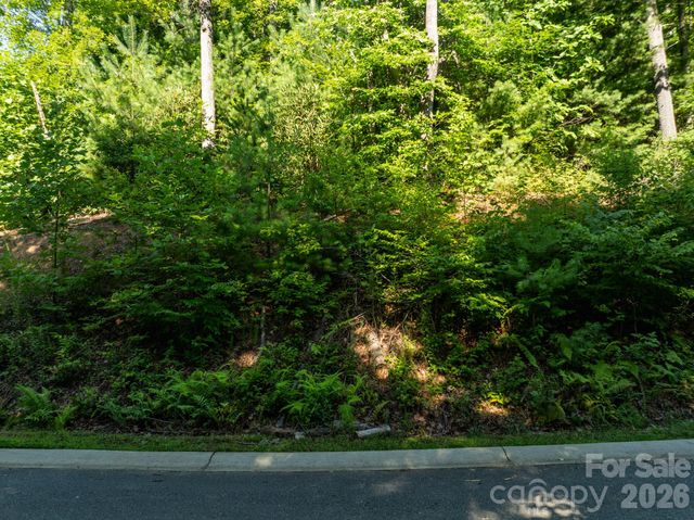 59 Old Greybeard Loop, Black Mountain, NC 28711