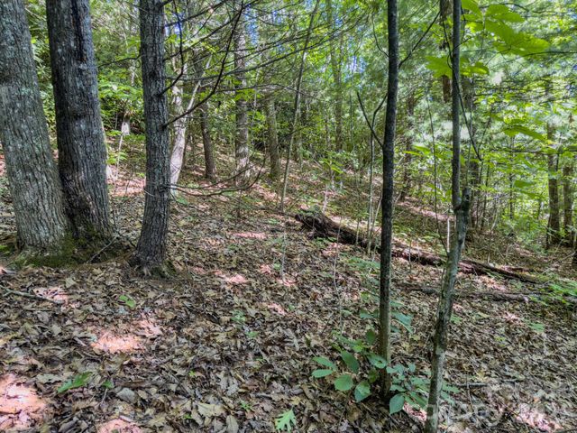59 Old Greybeard Loop, Black Mountain, NC 28711