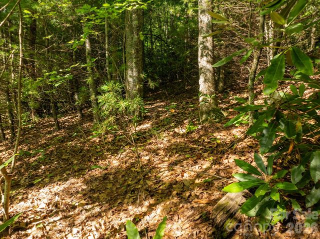59 Old Greybeard Loop, Black Mountain, NC 28711