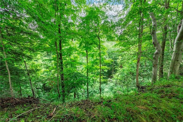 15038 Alexander Road, Walton Hills, OH 44146