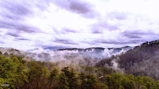 1205 Parkview Vista Way, Pigeon Forge, TN 37862