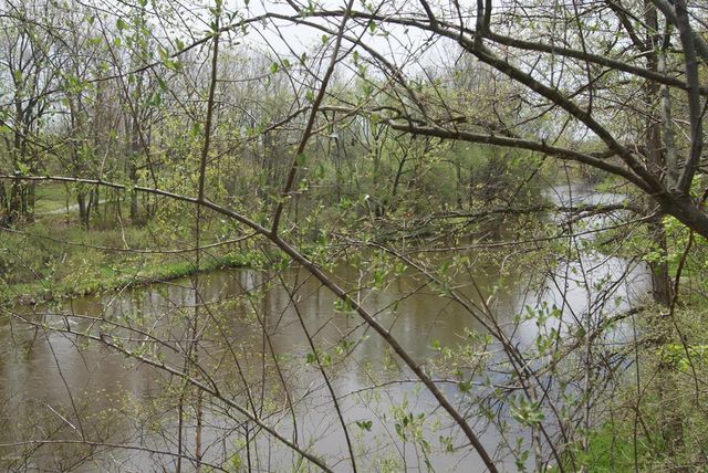 Lot 7 Whitetail Trail, Chippewa Twp, MI 48858