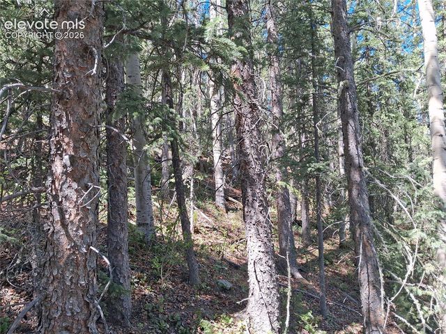 2462 Anges Drive, Cripple Creek, CO 80813