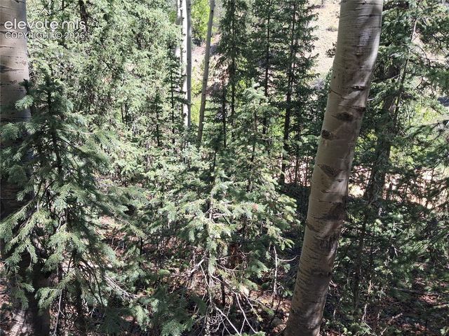 2462 Anges Drive, Cripple Creek, CO 80813