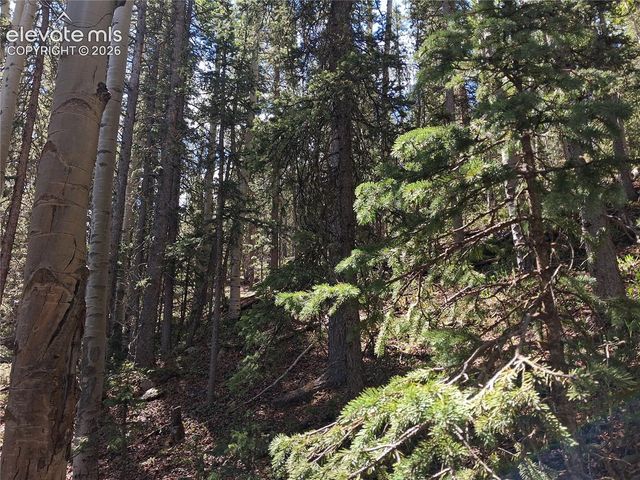 2462 Anges Drive, Cripple Creek, CO 80813