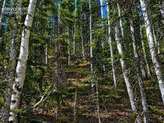 2462 Anges Drive, Cripple Creek, CO 80813