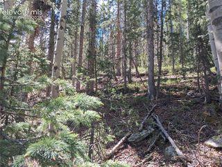 2462 Anges Drive, Cripple Creek, CO 80813