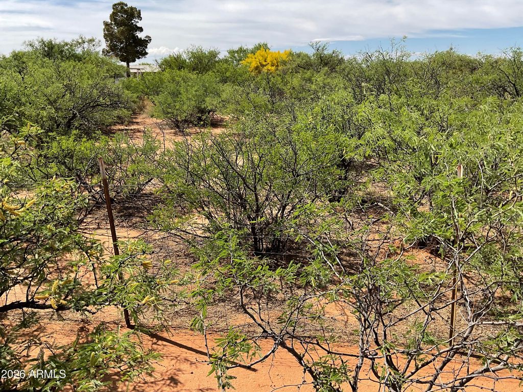 Image 14 of property listing at 7011 S PINTEK Lane, Hereford, AZ 85615