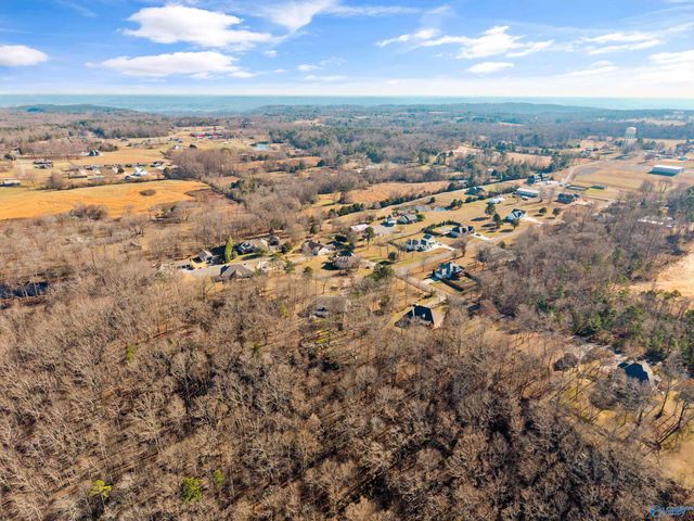 10 Chera Trail, Grant, AL 35747