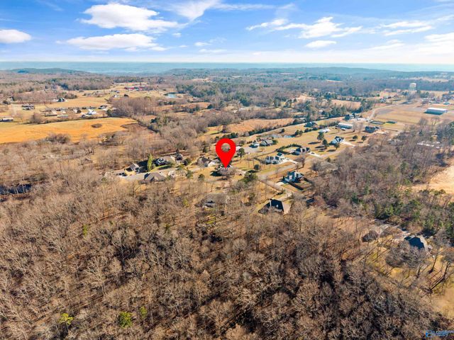 10 Chera Trail, Grant, AL 35747