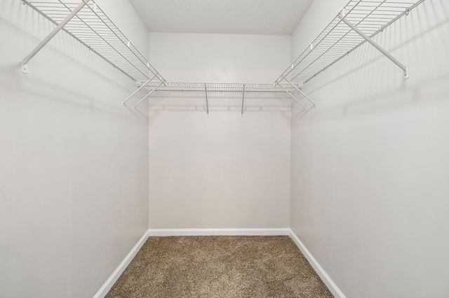 334 Tom Ferrell Rd, Portland, TN 37148