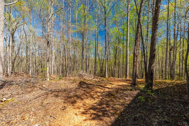 2305 Smith Mountain Lake Parkway, Huddleston, VA 24104