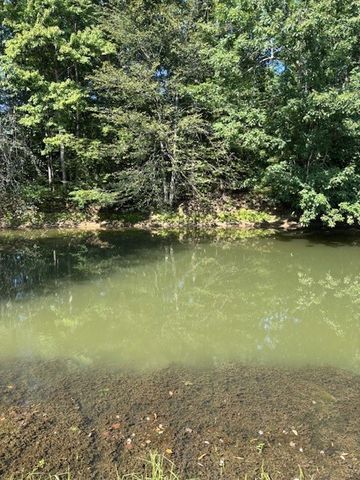 17486 CUSSEWAGO Road, Meadville, PA 16335