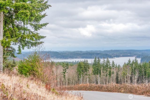 0 Red Hawk lot 8 Drive, Castle Rock, WA 98611