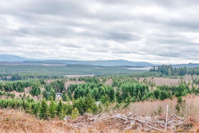 0 Red Hawk lot 8 Drive, Castle Rock, WA 98611