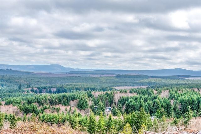 0 Red Hawk lot 8 Drive, Castle Rock, WA 98611