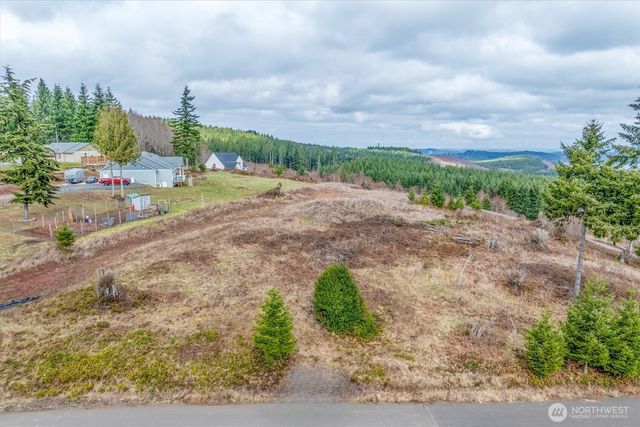 0 Red Hawk lot 8 Drive, Castle Rock, WA 98611