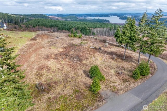 0 Red Hawk lot 8 Drive, Castle Rock, WA 98611