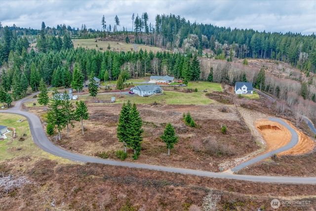 0 Red Hawk lot 8 Drive, Castle Rock, WA 98611