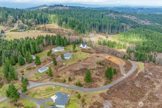 0 Red Hawk lot 8 Drive, Castle Rock, WA 98611