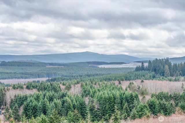 0 Red Hawk lot 8 Drive, Castle Rock, WA 98611