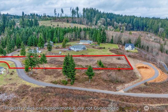 0 Red Hawk lot 8 Drive, Castle Rock, WA 98611
