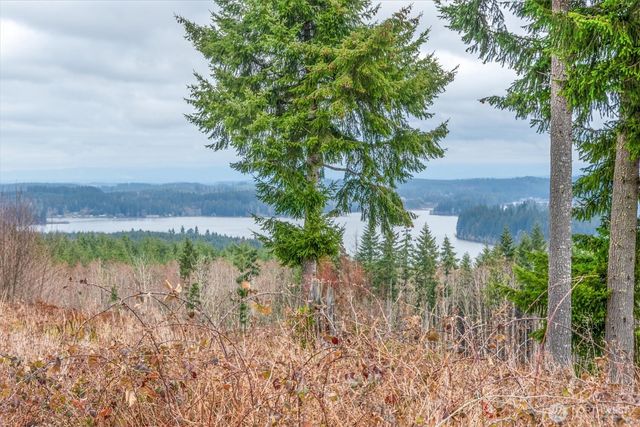 0 Red Hawk lot 8 Drive, Castle Rock, WA 98611