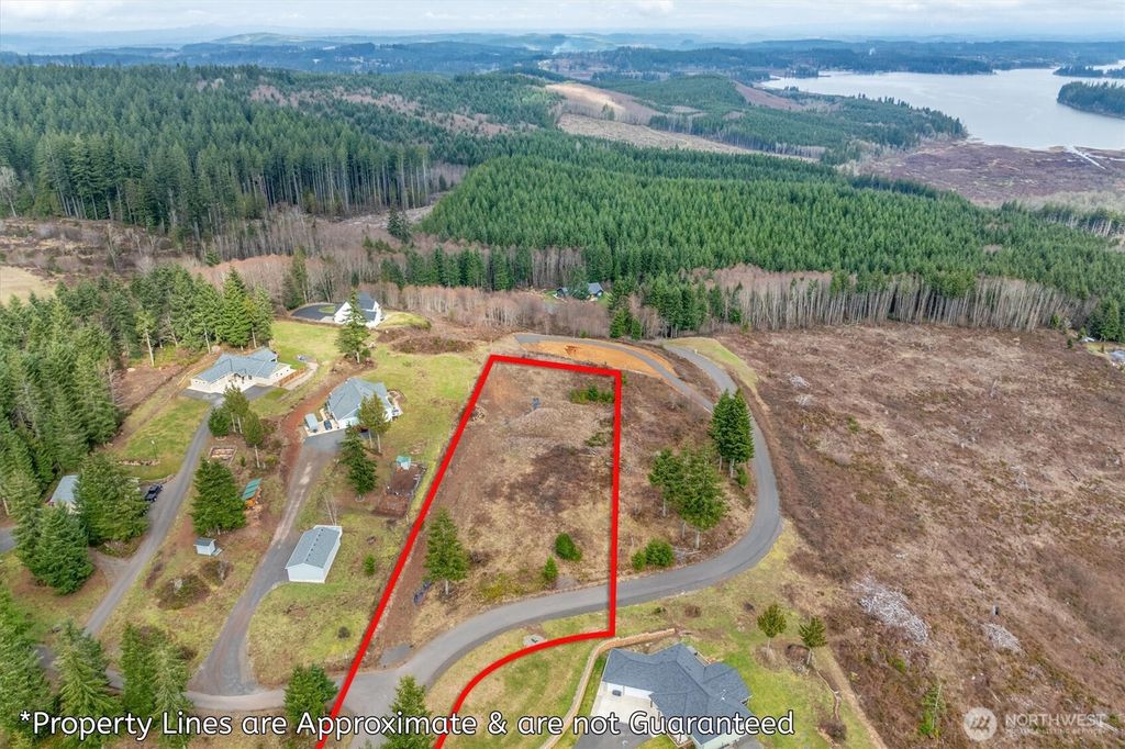 0 Red Hawk lot 8 Drive, Castle Rock, WA 98611