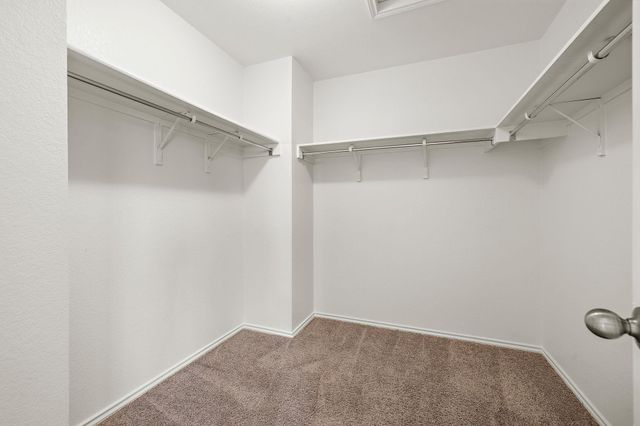 924 Oatmeal DR, Pflugerville, TX 78660