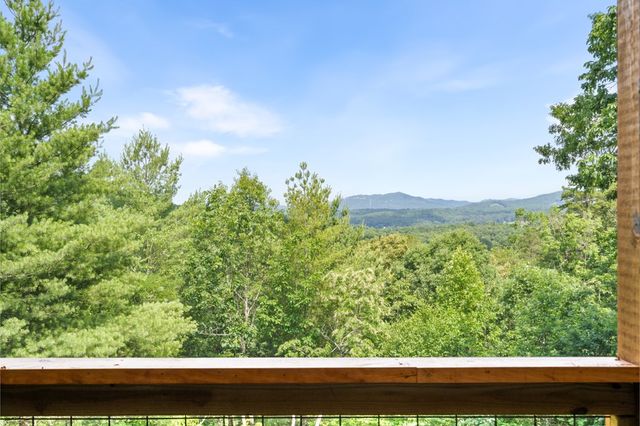 313 Lexington Drive, Brasstown, NC 28902