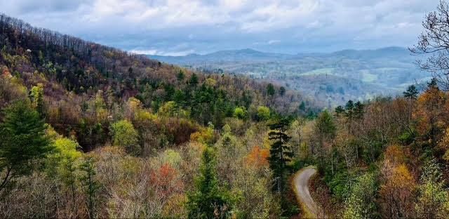 313 Lexington Drive, Brasstown, NC 28902