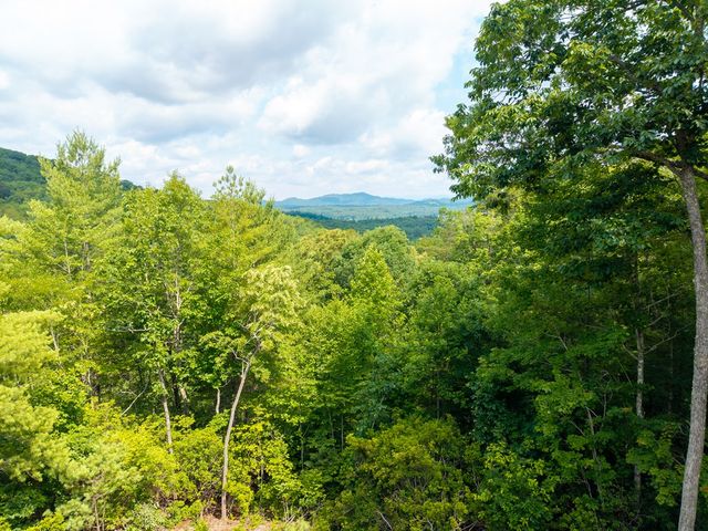 313 Lexington Drive, Brasstown, NC 28902