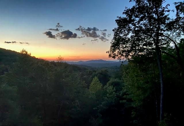 313 Lexington Drive, Brasstown, NC 28902
