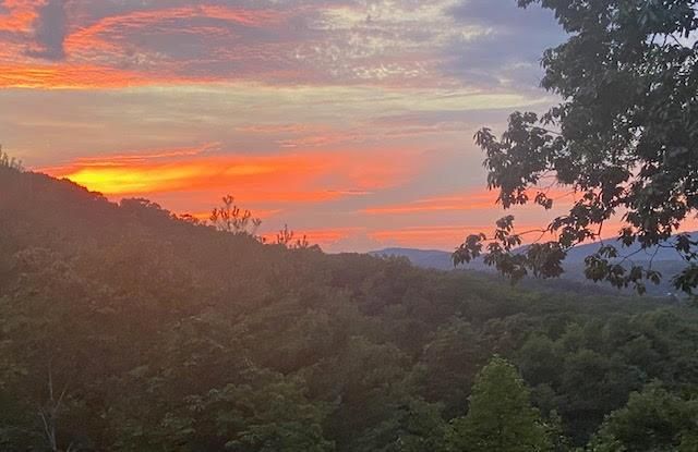 313 Lexington Drive, Brasstown, NC 28902