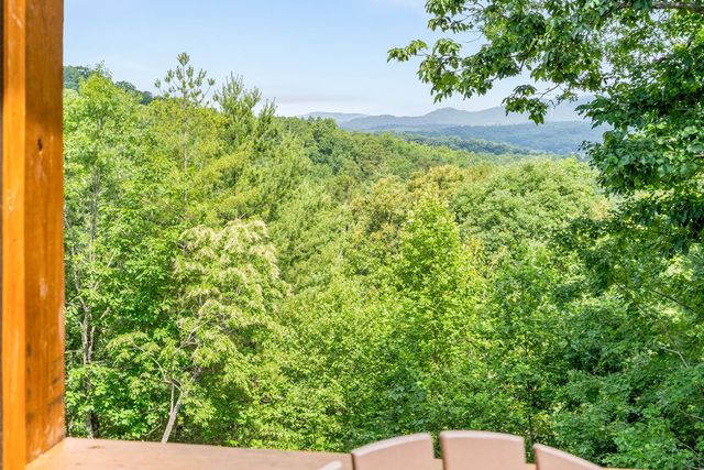 313 Lexington Drive, Brasstown, NC 28902
