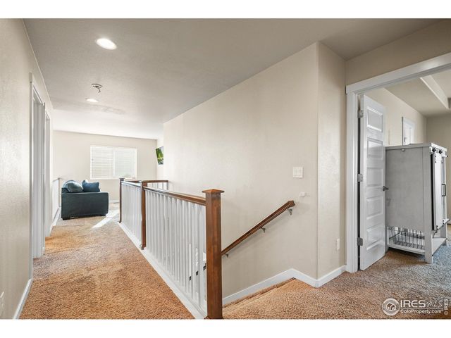 1577 Sierra Plaza St, Severance, CO 80550