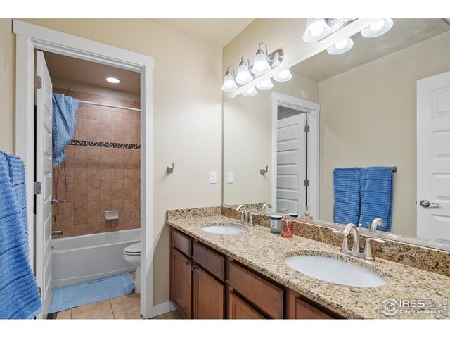 1577 Sierra Plaza St, Severance, CO 80550