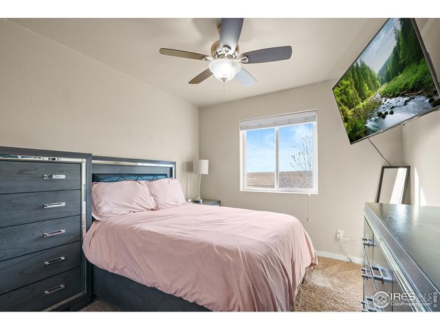 1577 Sierra Plaza St, Severance, CO 80550