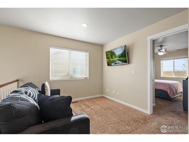 1577 Sierra Plaza St, Severance, CO 80550