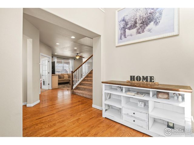 1577 Sierra Plaza St, Severance, CO 80550