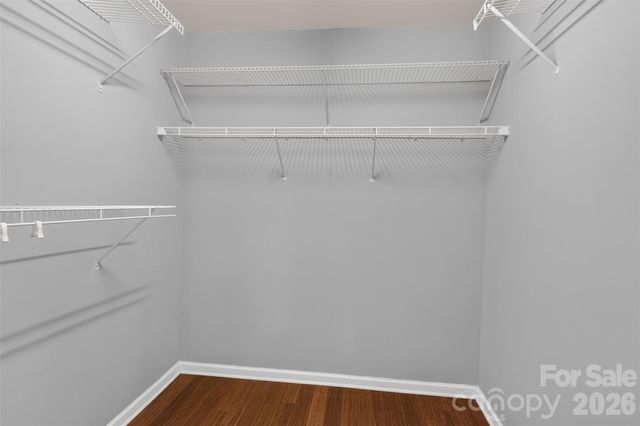 13904 Singleleaf Lane, Charlotte, NC 28278